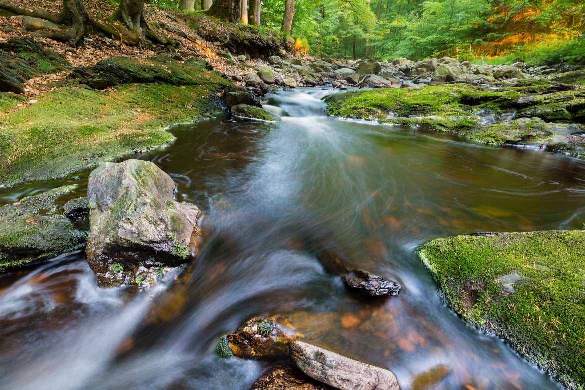 Wie strukturiertes Wasser Ihr Leben verbessern kann