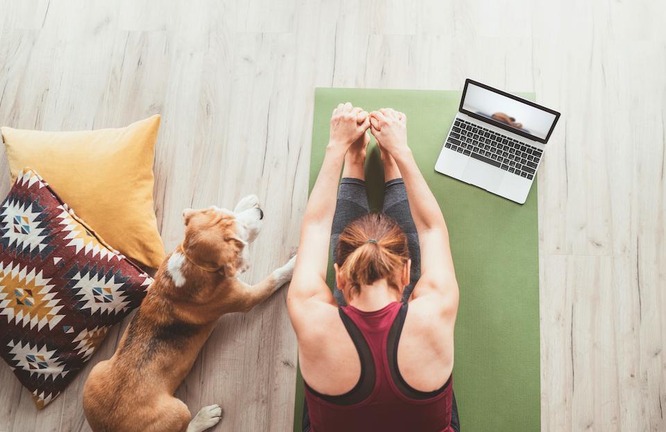 Yoga & Wellness