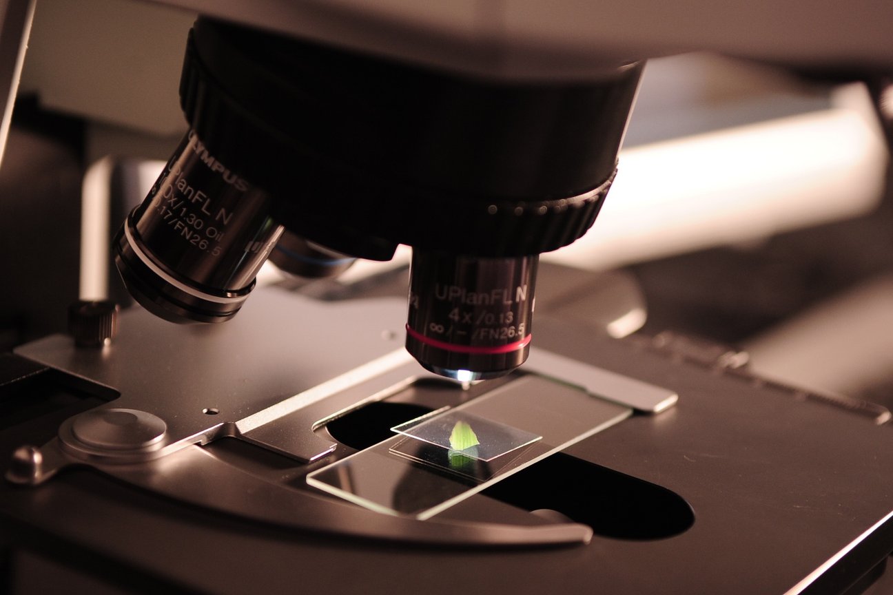 Wissenschaftlich bewiesene positive Wirkungen